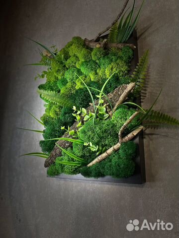 Настенное панно из стабилизированного мха