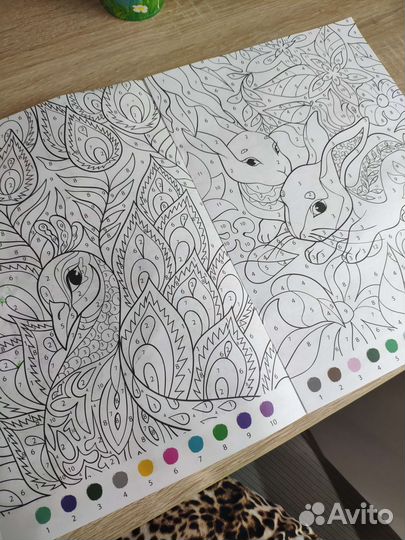 Раскраска по номерам «Удивительный мир», 16 стр