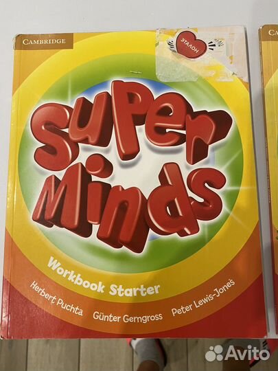 Английский язык Super Minds 1