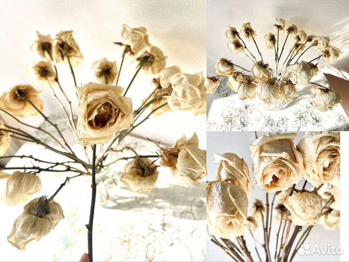 Букет из сухоцветов, ваза для цветов