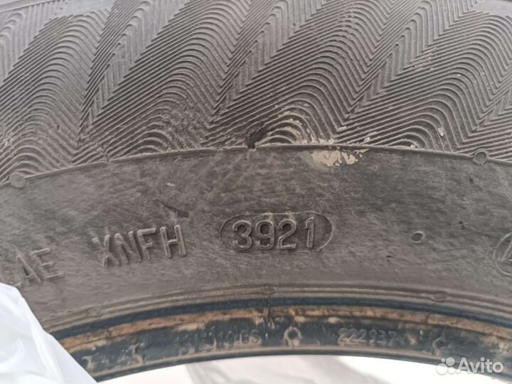 Matador DR2 Variant 195/65 R15