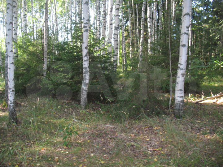 Участок 40 сот. (ИЖС)