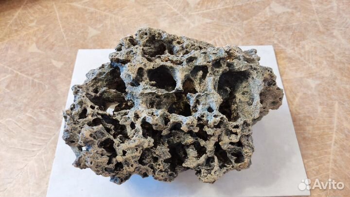 Мангровые коряги 50+см, песчаник и автокормушки