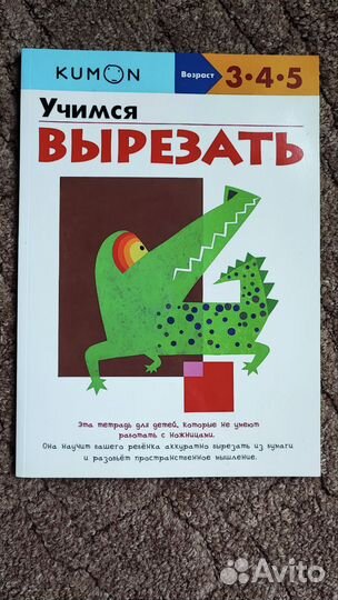 Kumon новая
