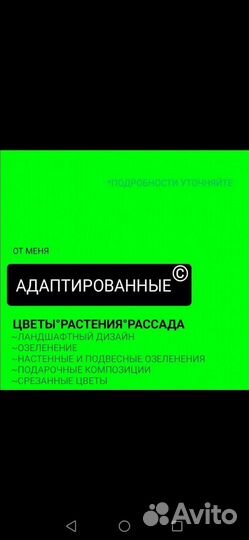 Цветы