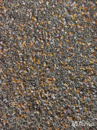 Зерносмесь