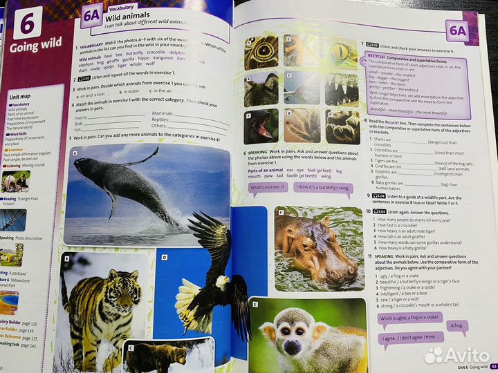 Solutions elementary 3rd edition новый