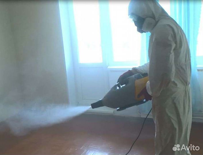 Уничтожение тараканов дезинсекция дезинфекция