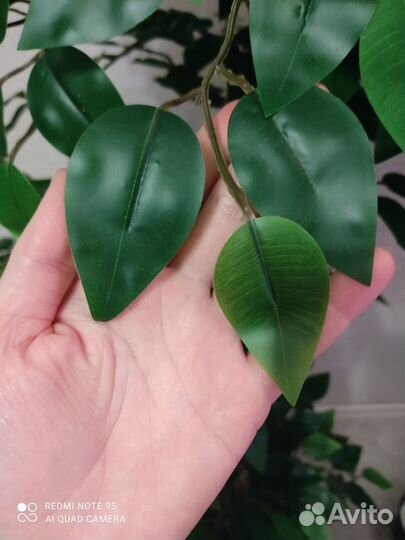 Фикус искусственный зеленый