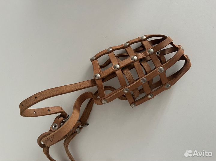 Намордник для собак