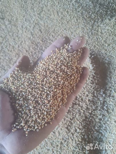 Зерновое предприятие