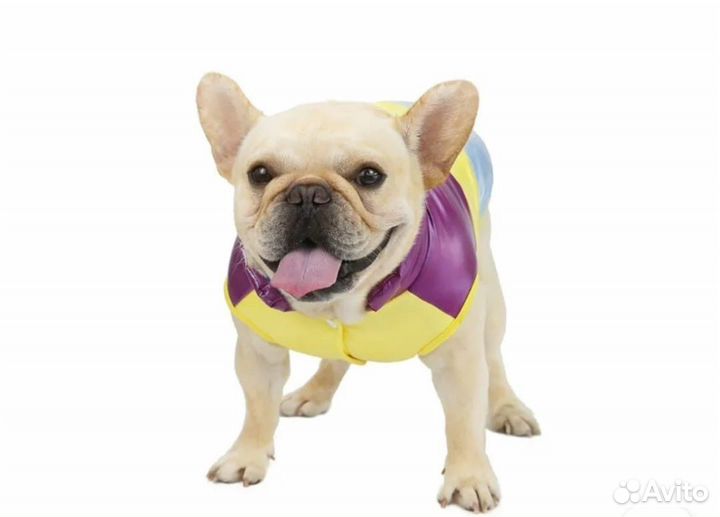 Утеплённый жилет для собаки