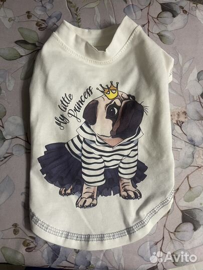 Одежда для животных