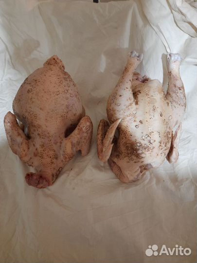 Мясо домашнего бройлера