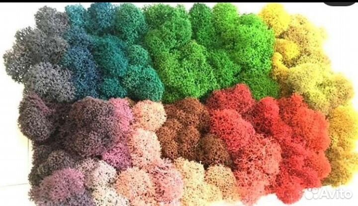 Панно цветное из мха