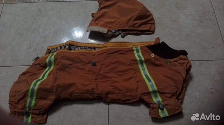 Комбинезон для таксы