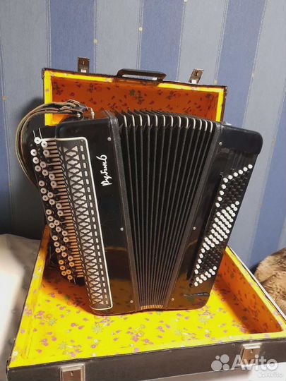 Баян Рубин 6