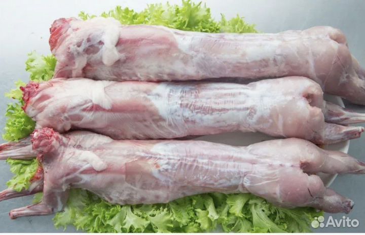 Мясо кролика