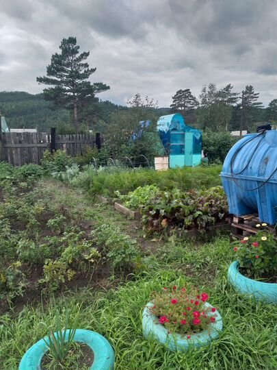 Участок 8 сот. (СНТ, ДНП)