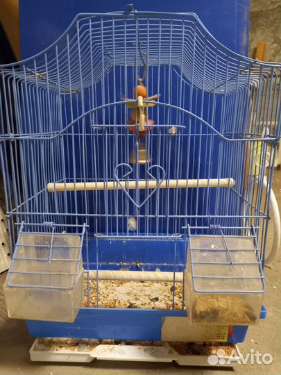 Клетка для волнистого попугая