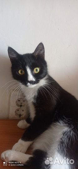 Ливана ждёт дом