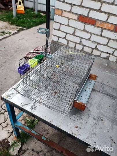 Клетка для перепелок