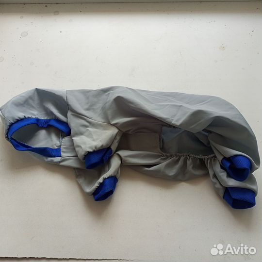 Сапожки для собак