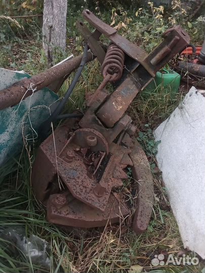 Паук муравей