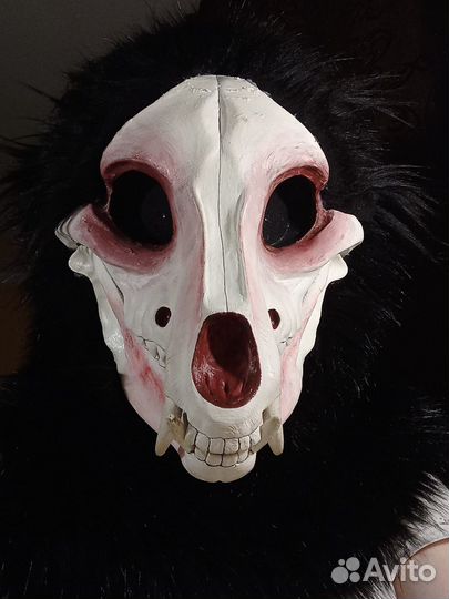 Фурсьют скалл дог