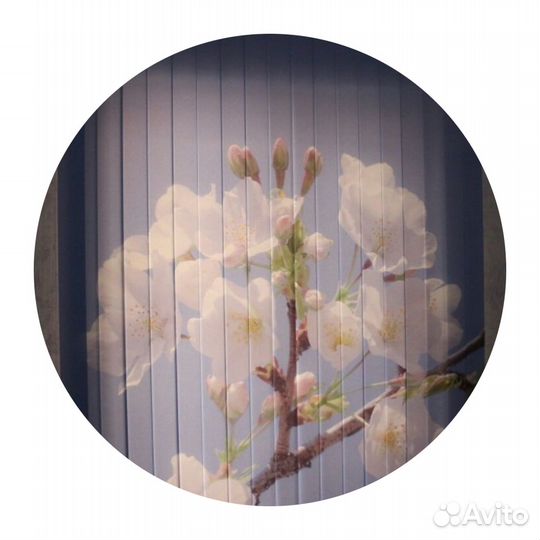 Рулонные шторы жалюзи art. Bas14