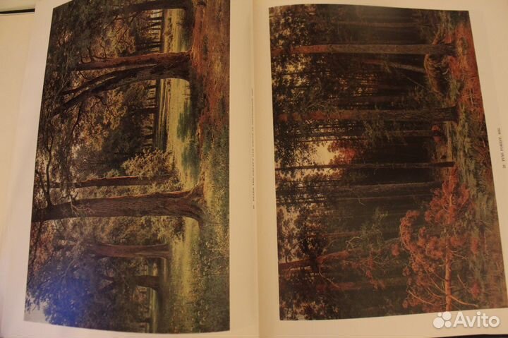 Книга по искусству Иван Шишкин - Рисунки, графика