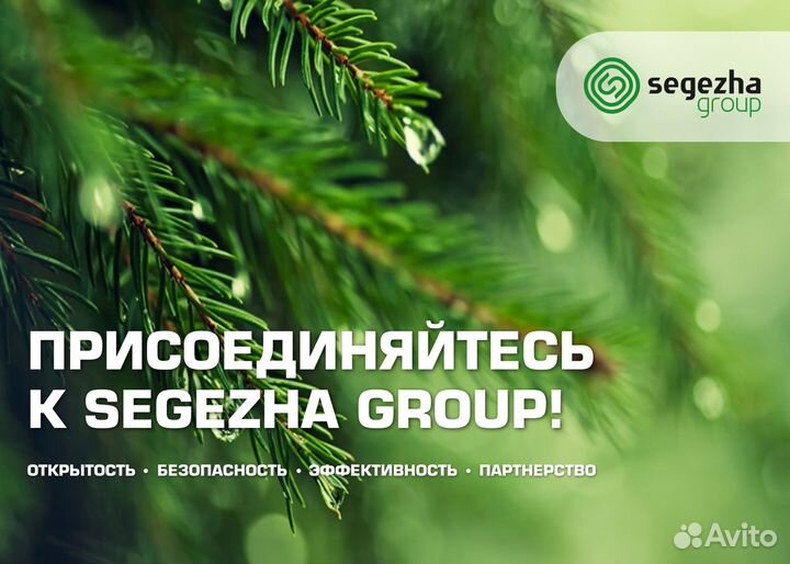 Сортировщик пиломатериалов