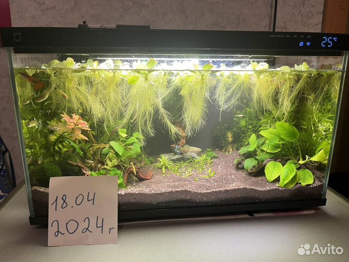 Умный аквариум Xiaomi Mijia 20L