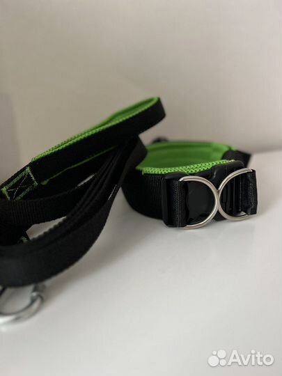 Ошейник и поводок