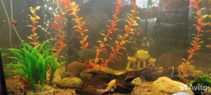 Украшение для аквариума