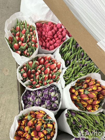 Букеты из 19, 21, 31, 51 тюльпанов