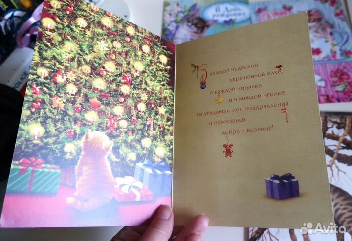 Открытки кошки