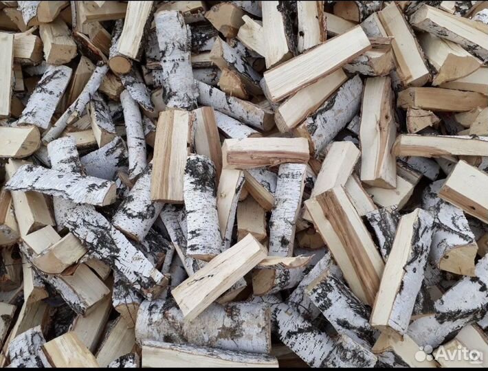 Дрова береза