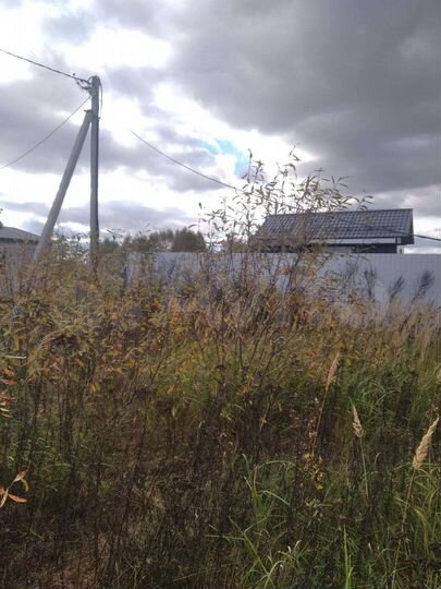 Участок 12 сот. (СНТ, ДНП)