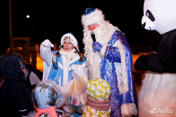 Дед Мороз и Снегурочка на Новый Год