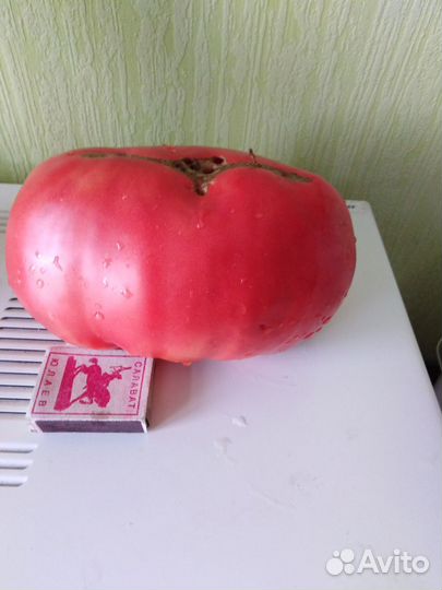 Солёные огурцы и
