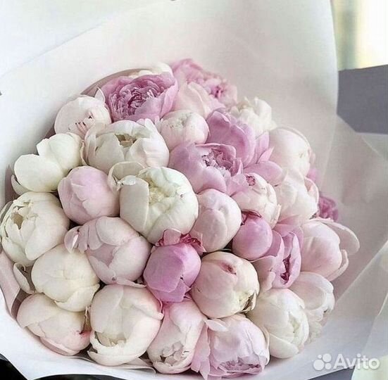 Пионы Букет пионов Доставка цветов