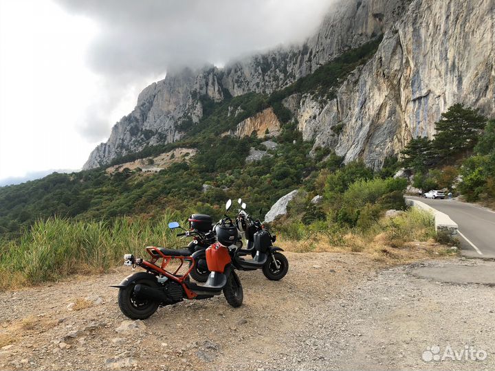 Honda Zoomer 50