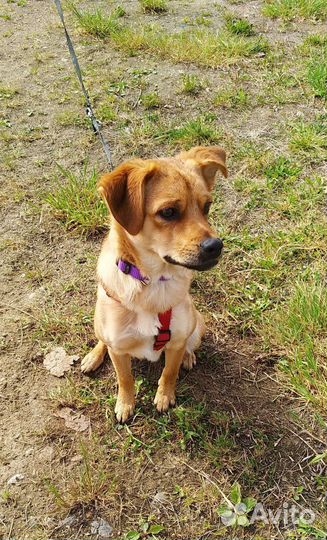 Мелкий паренек очень ласковый