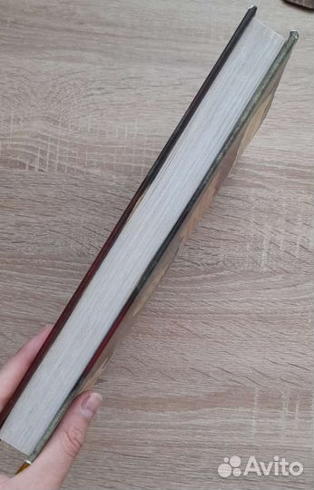 Гравити Фолз. Дневник 3