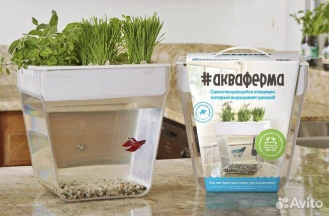 Акваферма. Аквариум. Новый.Экоаквариум. Флорариум