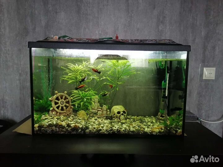 Аквариум