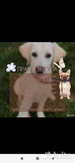 Выгул собак