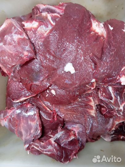 Мясо говядина