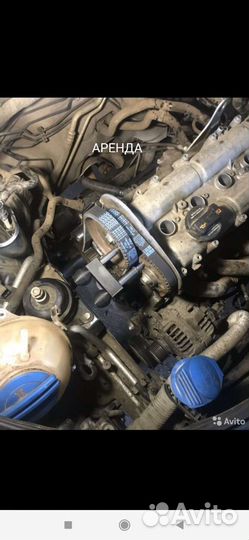 Фиксатор грм 24 часа